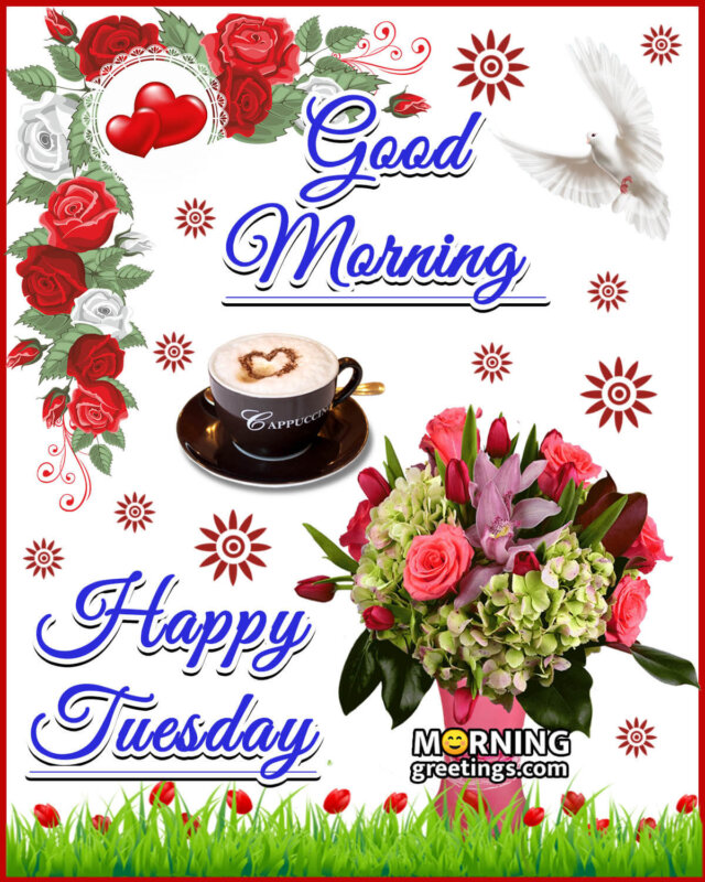 50 Good Morning Happy Tuesday Images - Morning Greetings – Morning ...