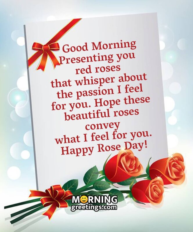 Good Morning Rose Day Feeling For You