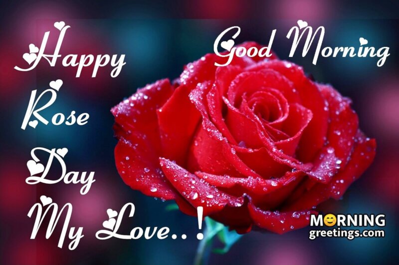 25 Good Morning Happy Rose Day Wishes Images - Morning Greetings ...