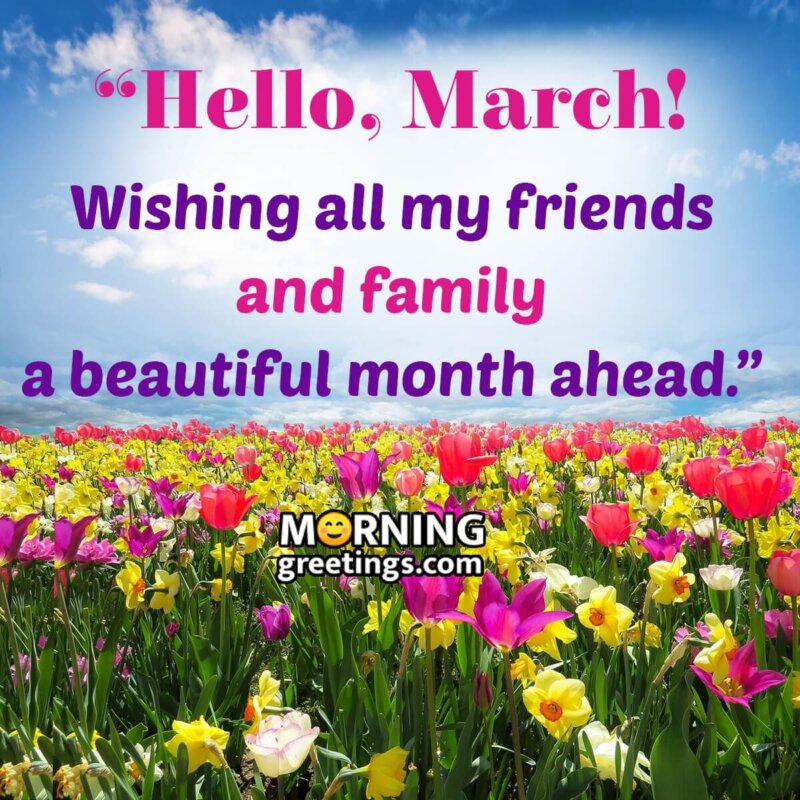 Hello, March! Wish