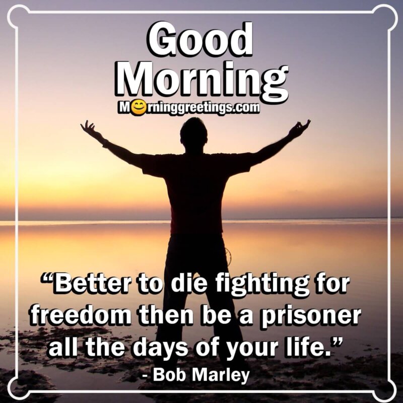 Good Morning Freedom Quote Photo