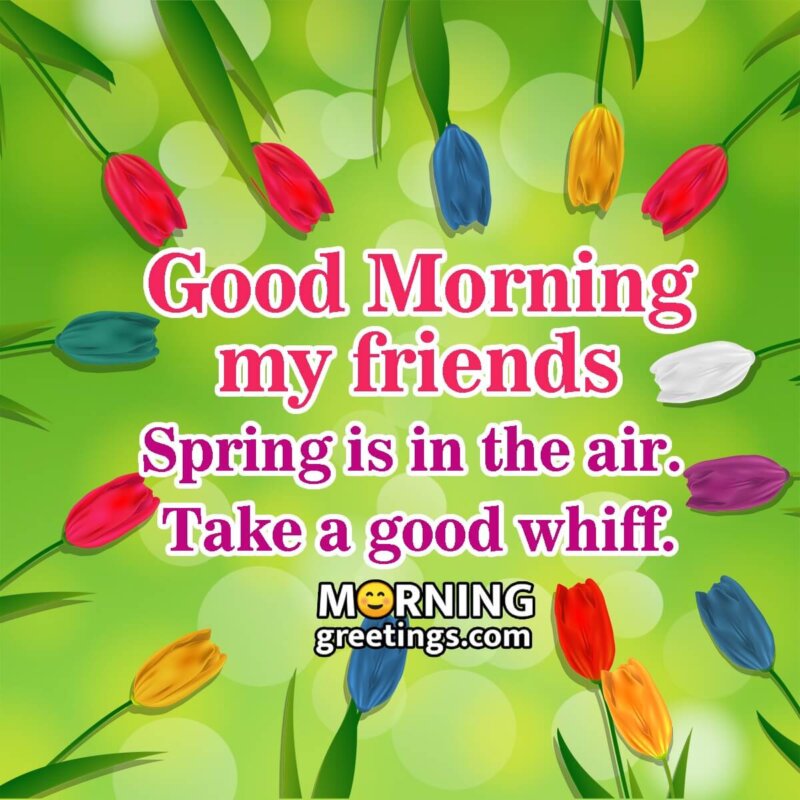 Good Morning Friend Spring Image