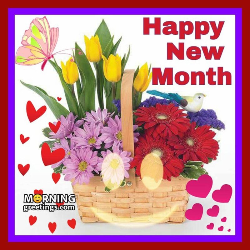 Happy New Month