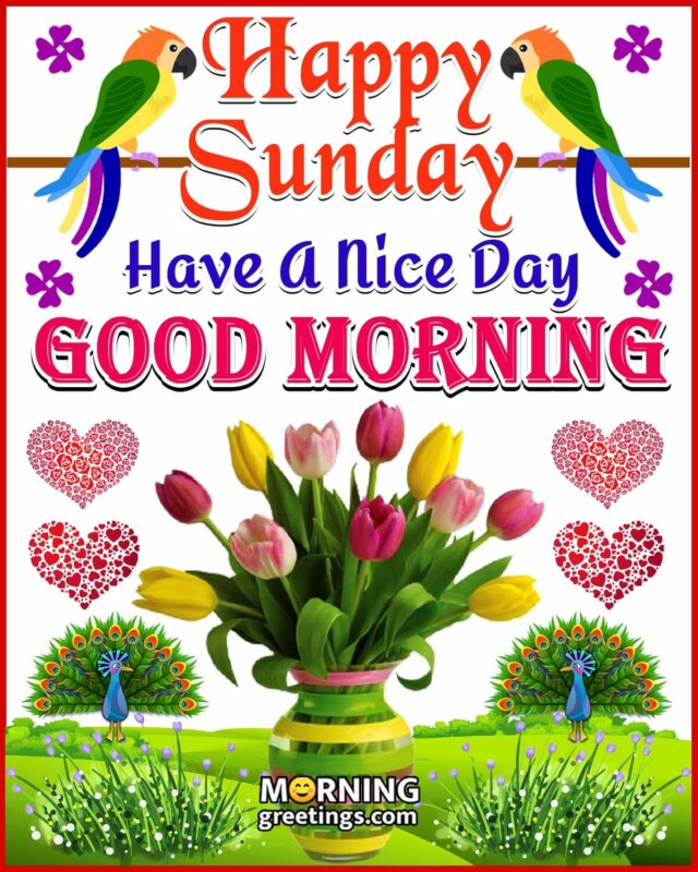 Happy Sunday Have A Nice Day Good Morning Image