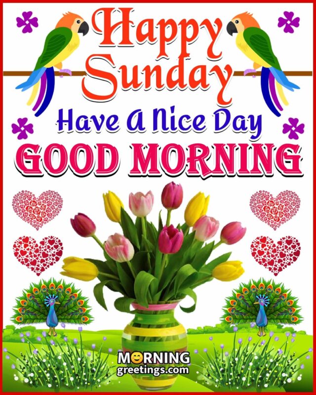 good morning friends have a wonderful sunday