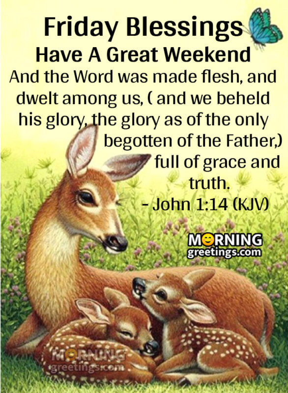 30 Amazing Friday Morning Blessings - Morning Greetings – Morning