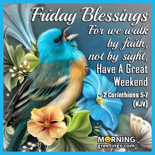 30 Amazing Friday Morning Blessings Morning Greetings Morning