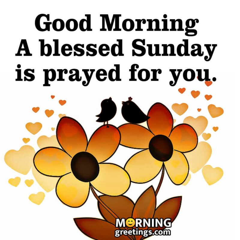 Good Morning A Blessed Sunday Is Prayed For You.