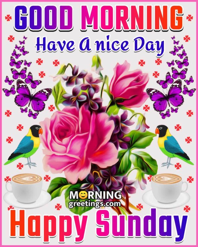 50 Good Morning Happy Sunday Images - Morning Greetings – Morning ...