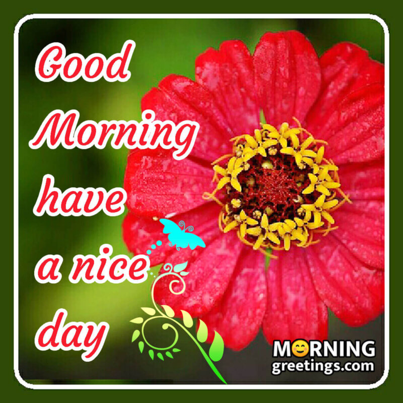 Good Morning Have A Nice Day