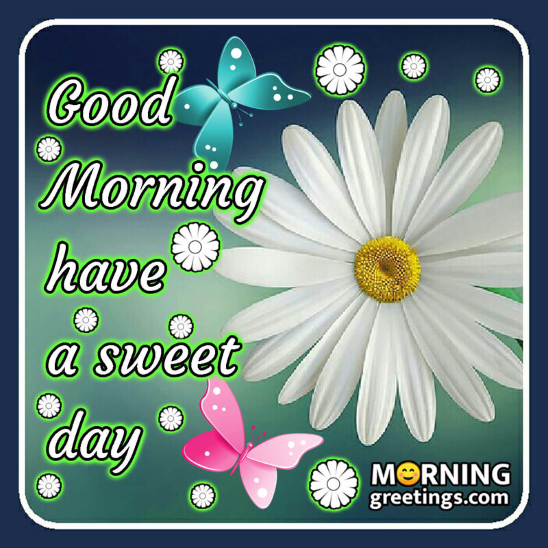 Good Morning Have A Sweet Day