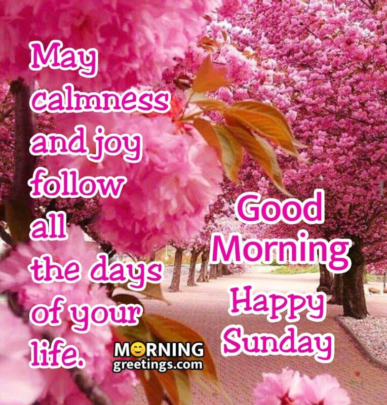 50 Best Sunday Morning Quotes Wishes Pics Morning Greetings Morning