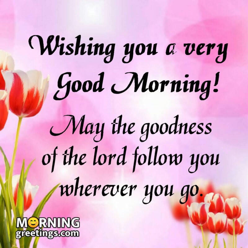 Good Morning Wishes Blessings