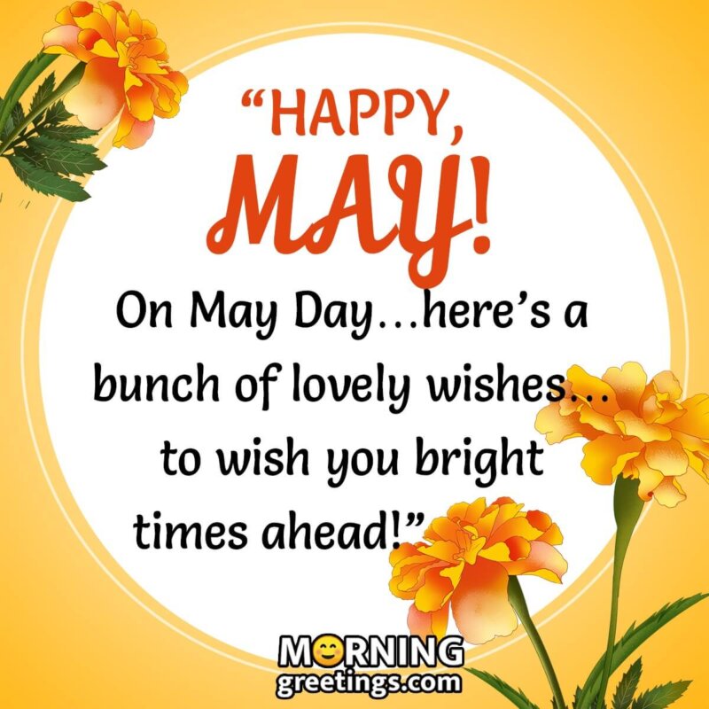 Happy May Wish