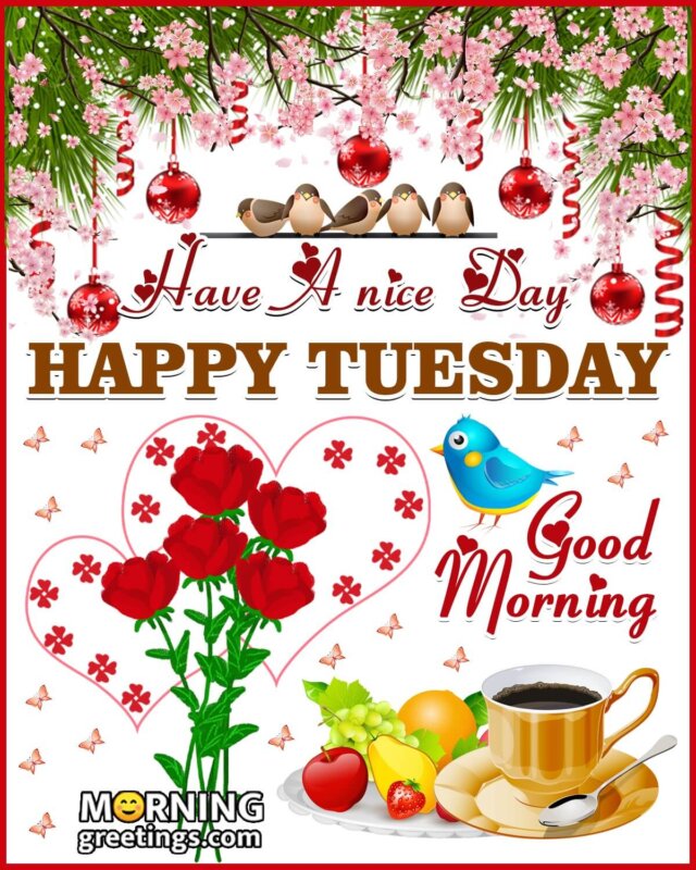 Happy Tuesday Good Morning Greeting