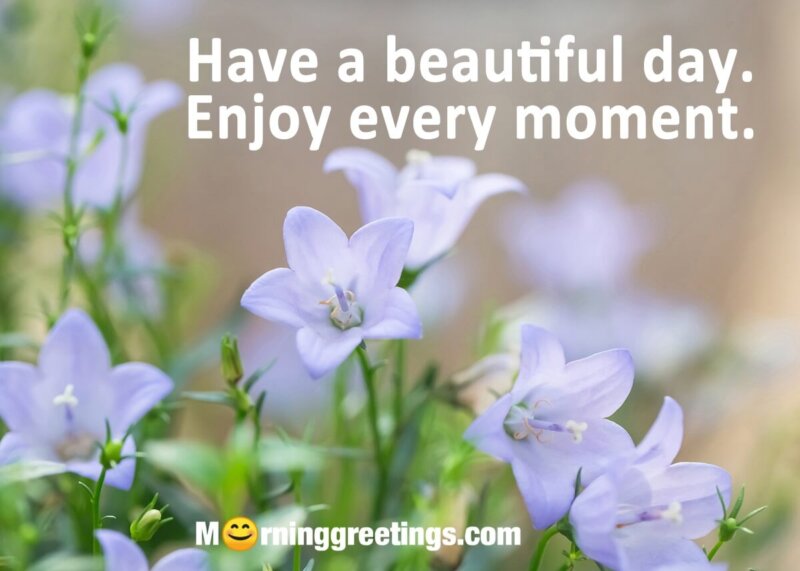 Have A Beautiful Day