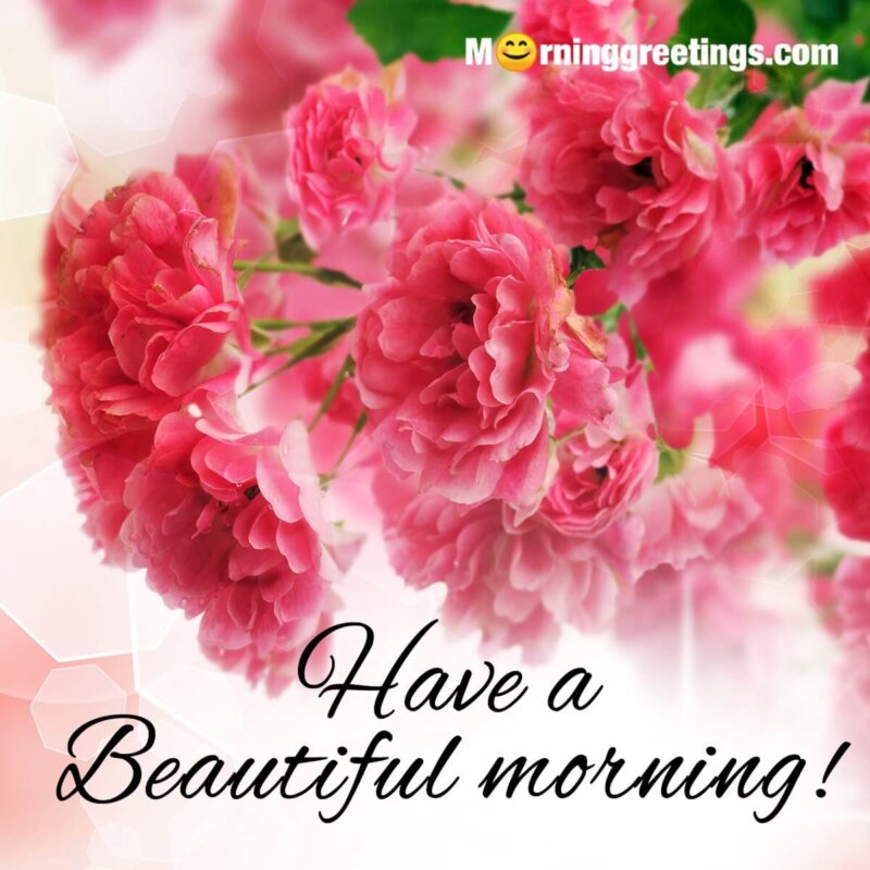 Have A Beautiful Morning