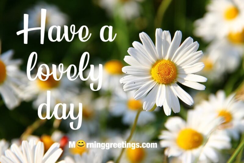 Have A Lovely Day