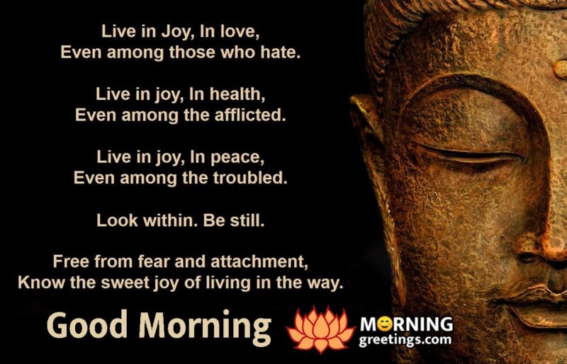 Good Morning Buddha Quote On Joy