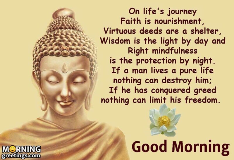 Good Morning Buddha Quote On Life Journey
