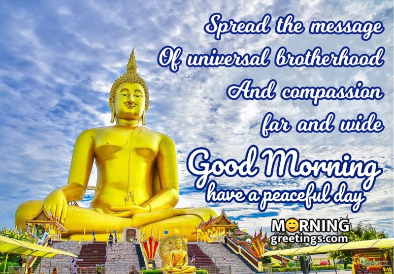 Good Morning Buddha Quote On Universal Brotherhood