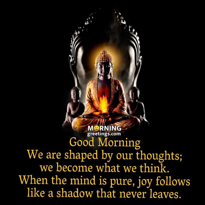 30 Good Morning Lord Buddha Quotes Images - Morning Greetings ...