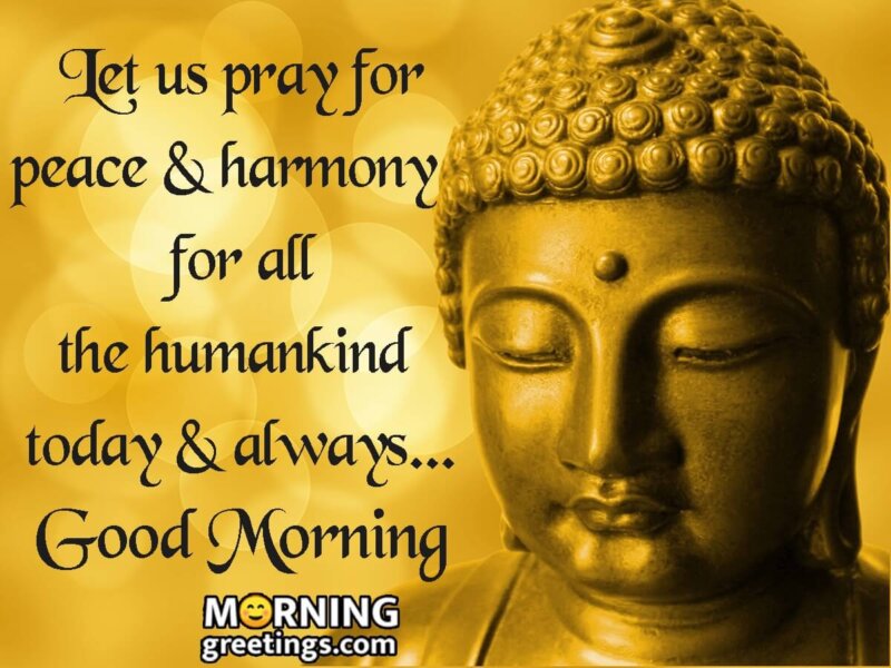 Good Morning Buddha Wishes Quote