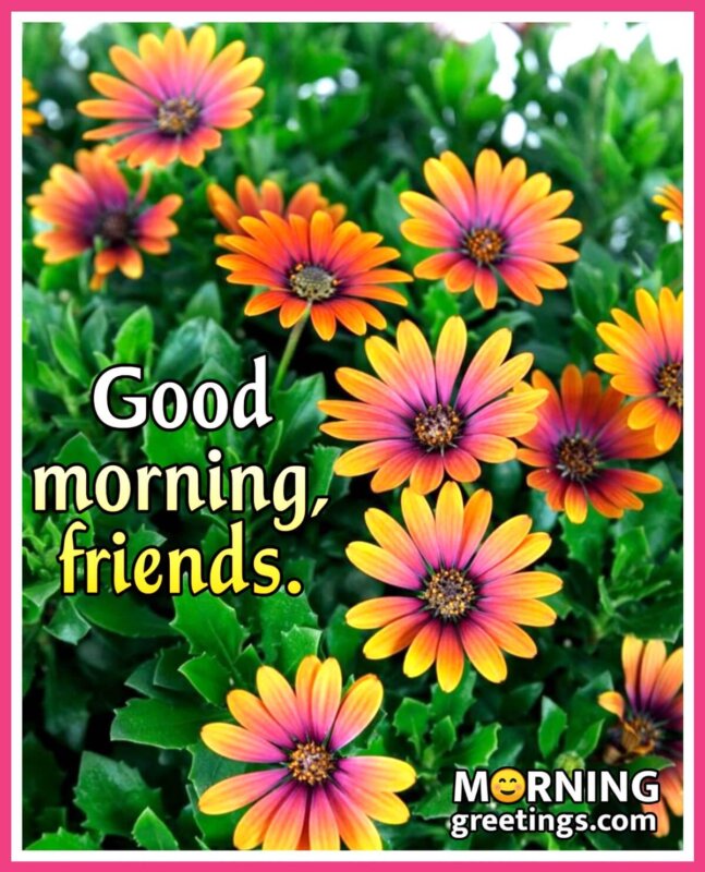 65 Good Morning Images With Flowers - Morning Greetings – Morning ...