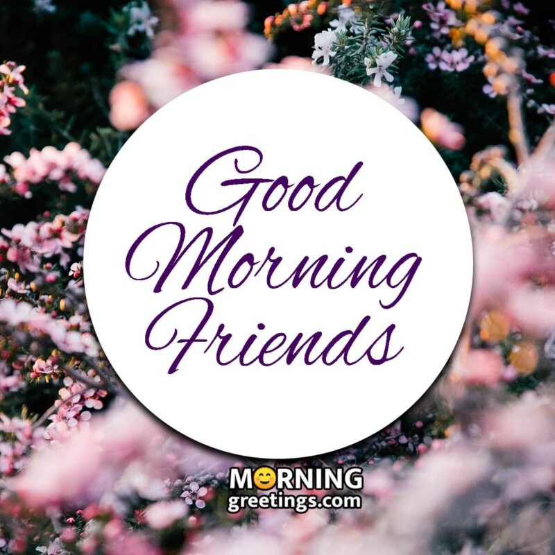 100 Good Morning Images - Morning Greetings – Morning Quotes And ...