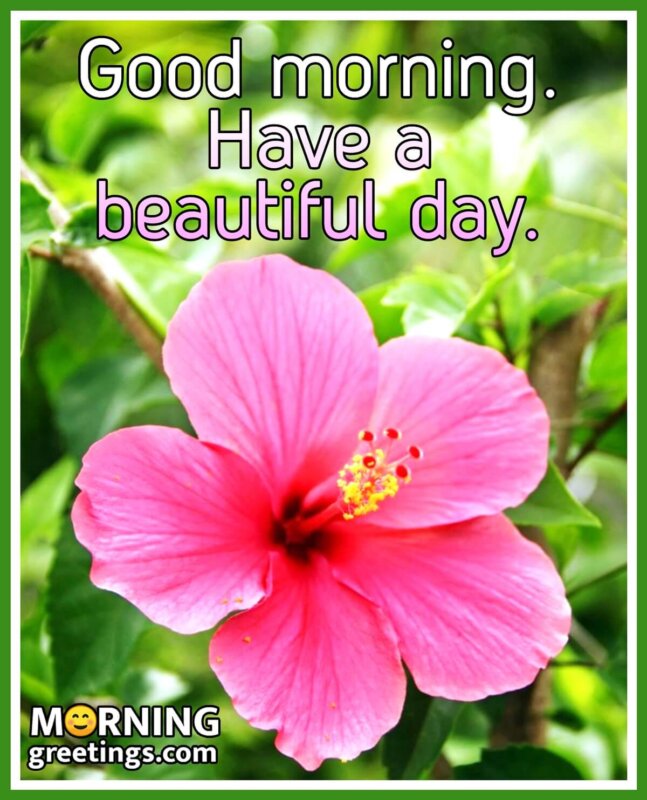 Good Morning Have A Beautiful Day