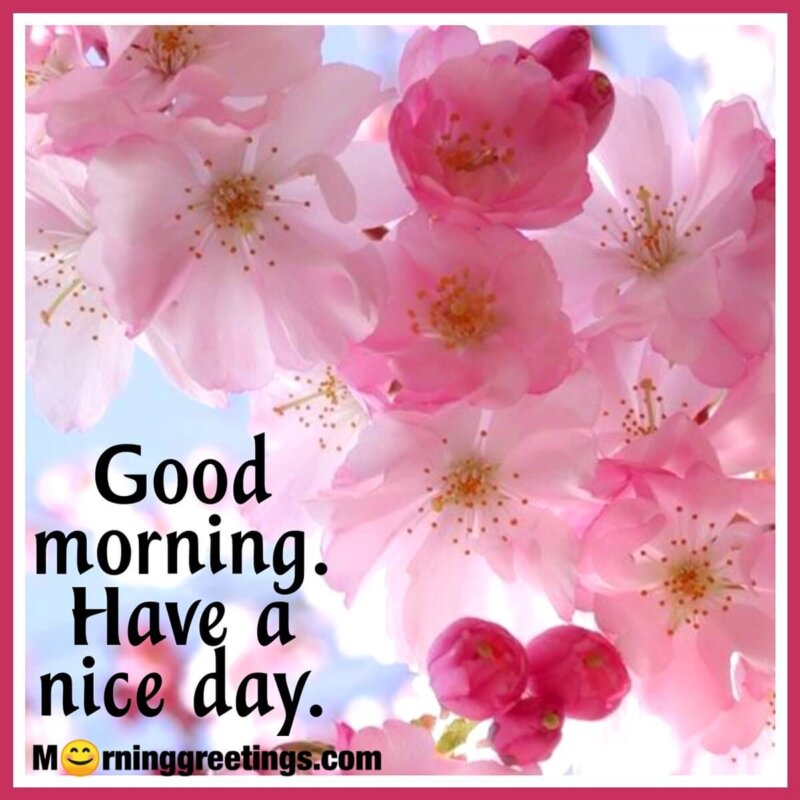Good Morning Have Nice Day