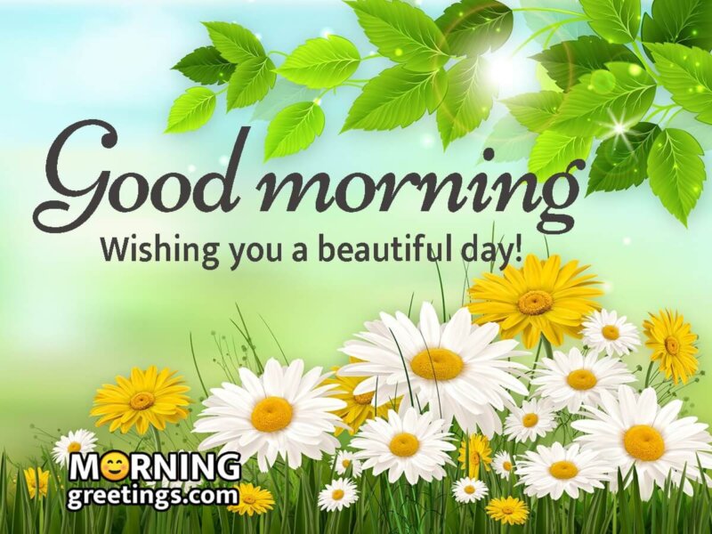 Good Morning Wishing You Beautiful Day