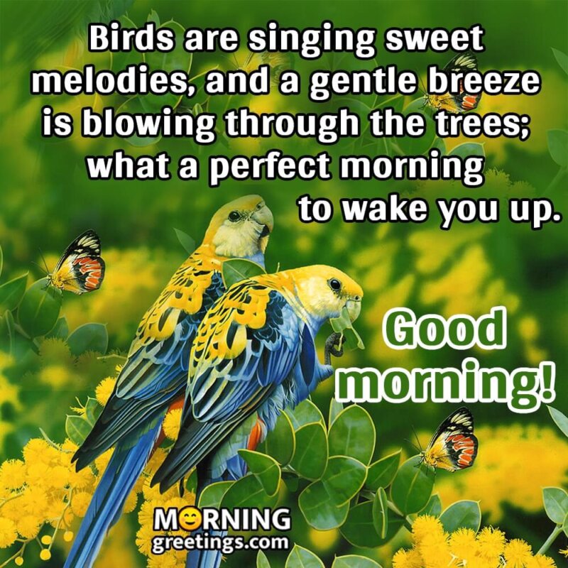 Birds Are Singing Sweet Melodies