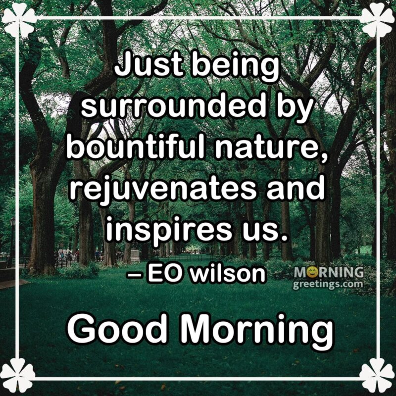 Good Morning Bountiful Nature Quote