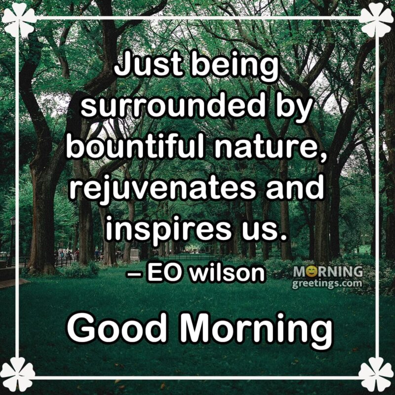 15 Best Good Morning Inspirational Nature Quotes With Images ...