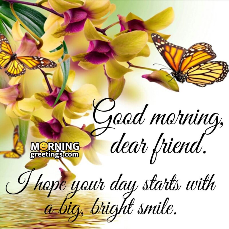 30 Good Morning Messages Images To A Friend - Morning Greetings ...