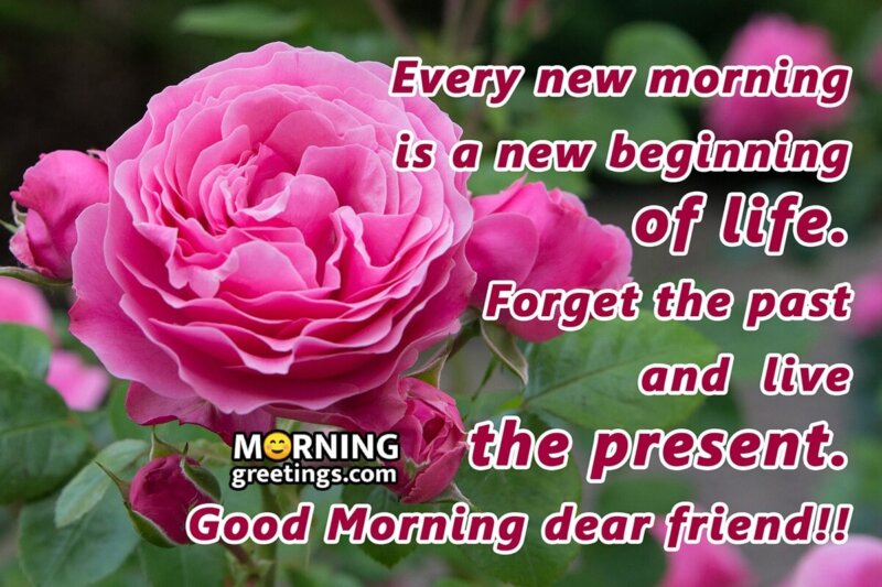Good Morning Friend Forget The Past