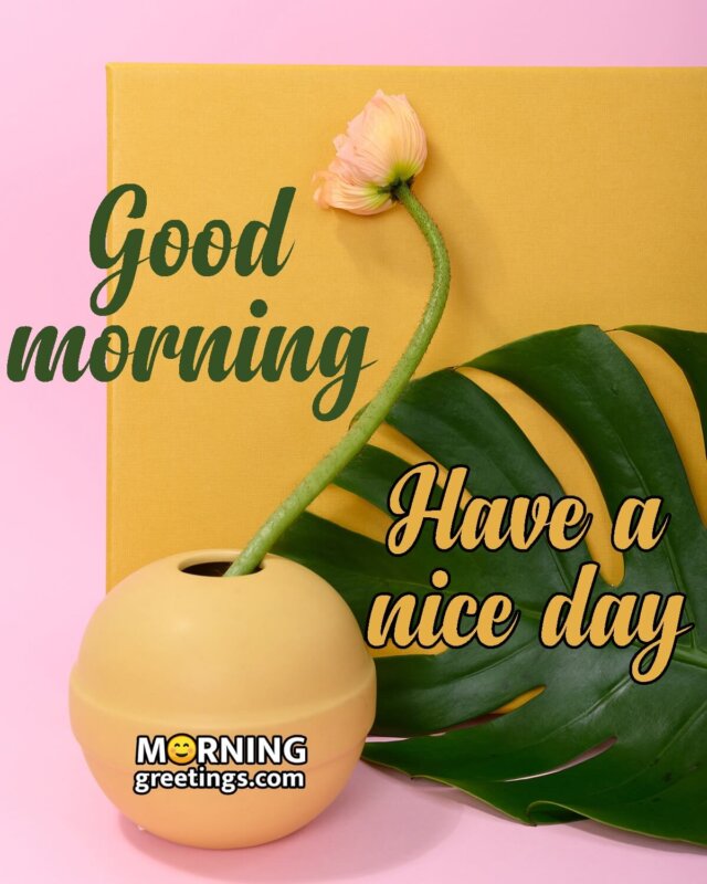 Good Morning Have A Nice Day