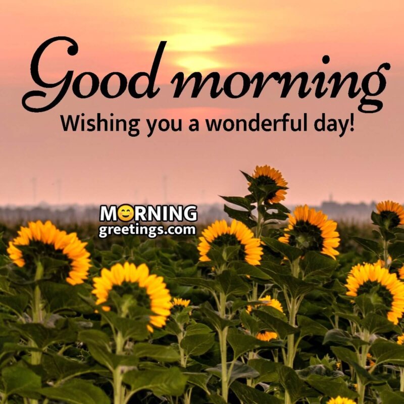 100 Good Morning Images - Morning Greetings – Morning Quotes And ...