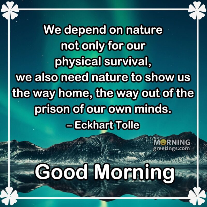 Good Morning Nature Quote Photo