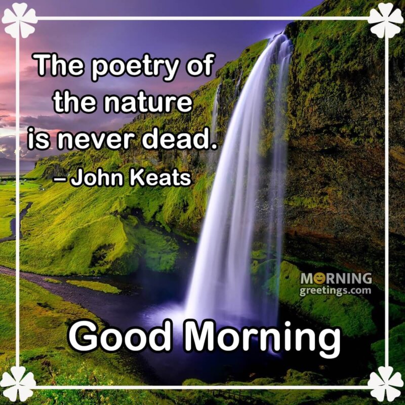 Good Morning Nature Quote Picture