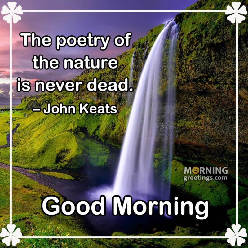 15 Best Good Morning Inspirational Nature Quotes With Images ...