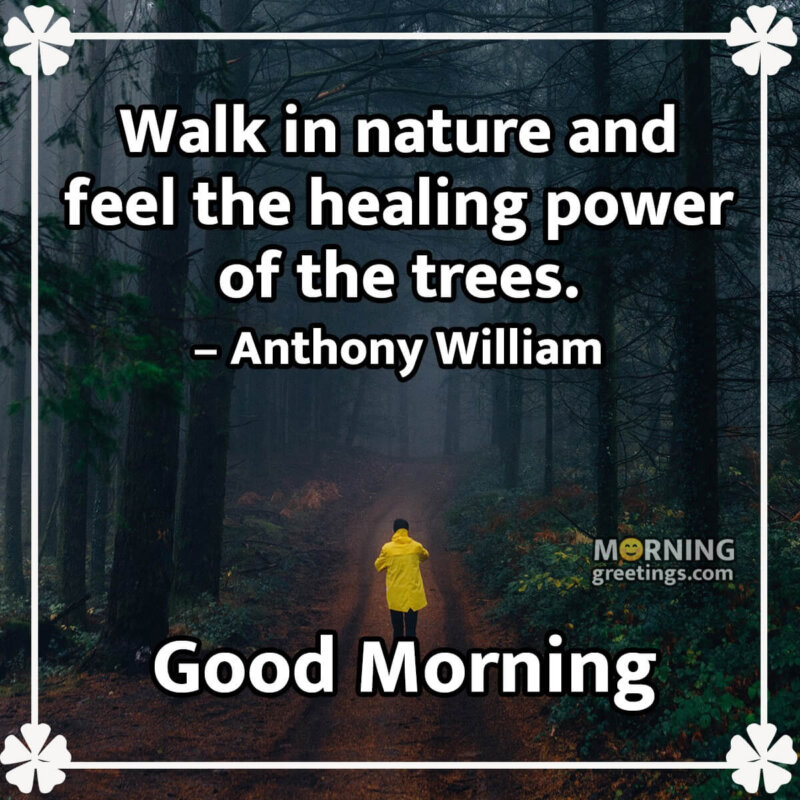 Good Morning Nature Quote