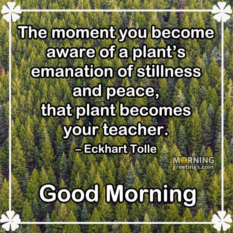 Good Morning Quote On Nature