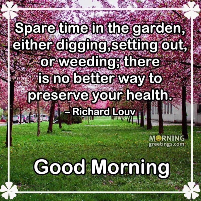 Good Morning Thought On Nature
