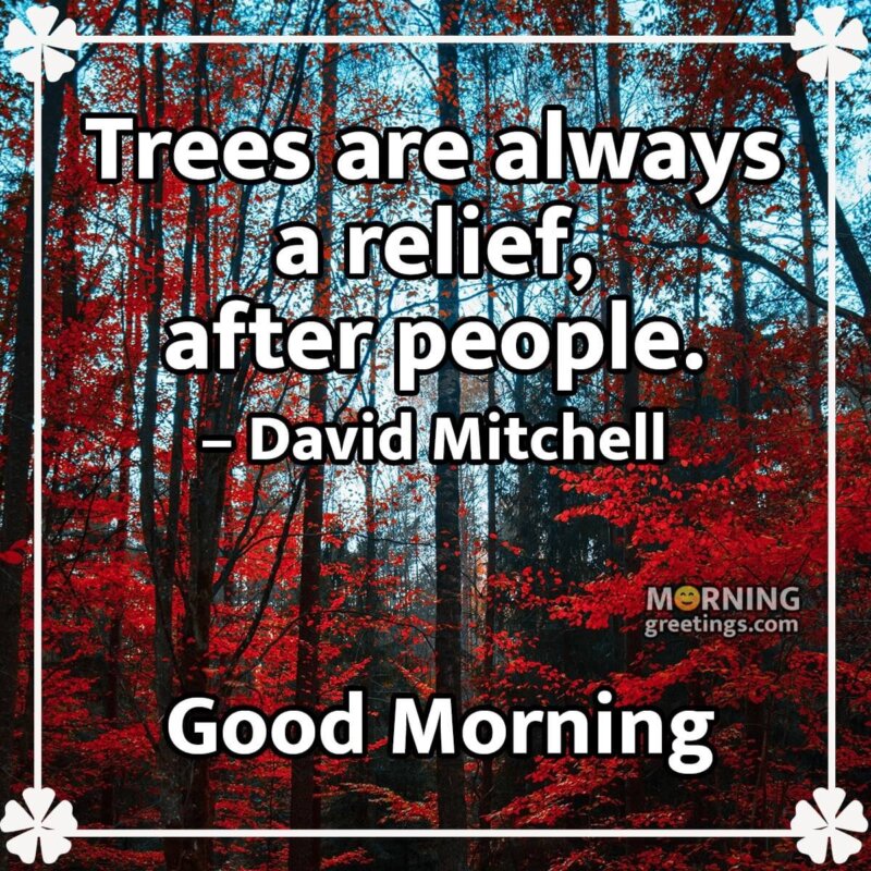 Good Morning Trees Are Always A Relief