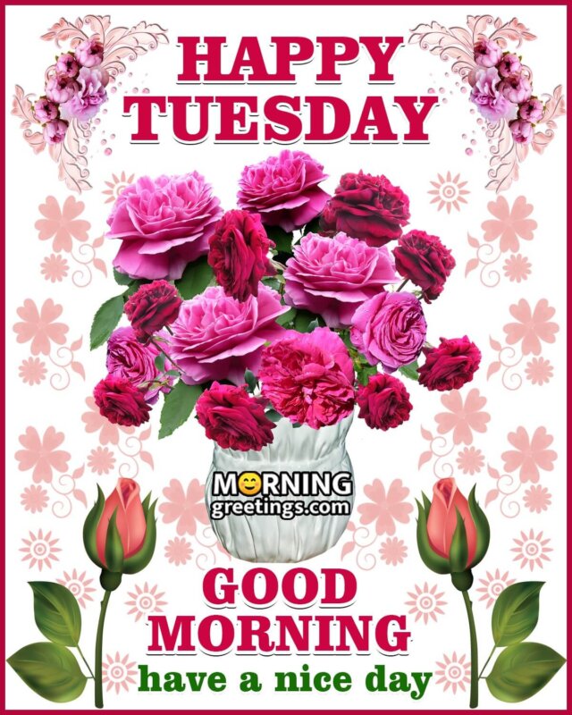 Happy Tuesday Good Morning Have A Nice Day