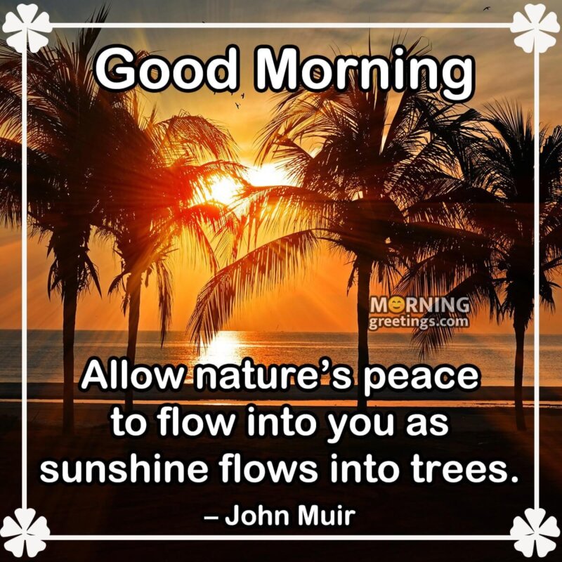 Peaceful Sunshine Nature Good Morning Quote