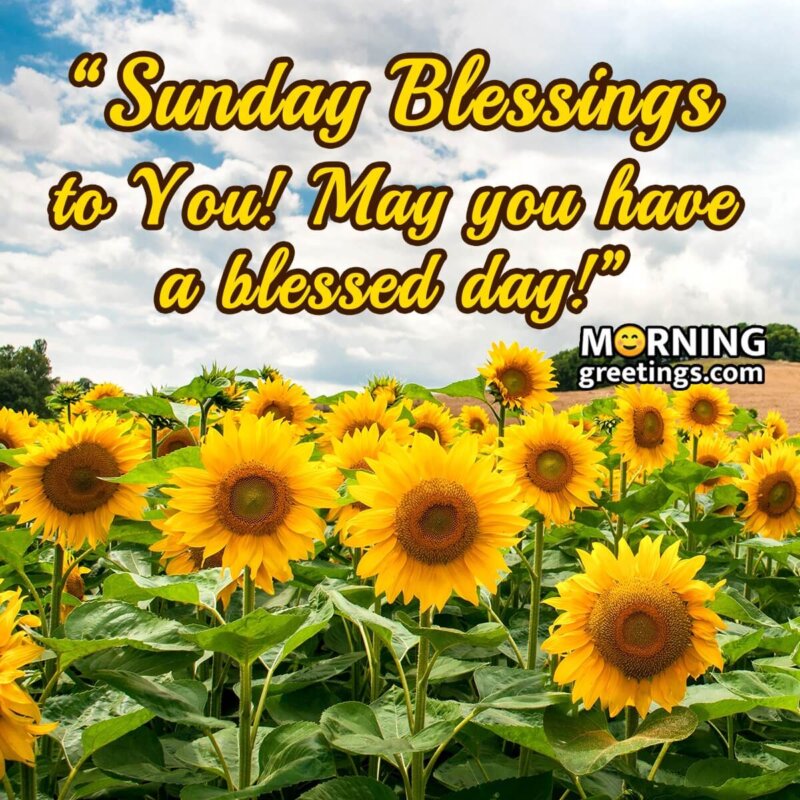 Sunday Blessings To You!