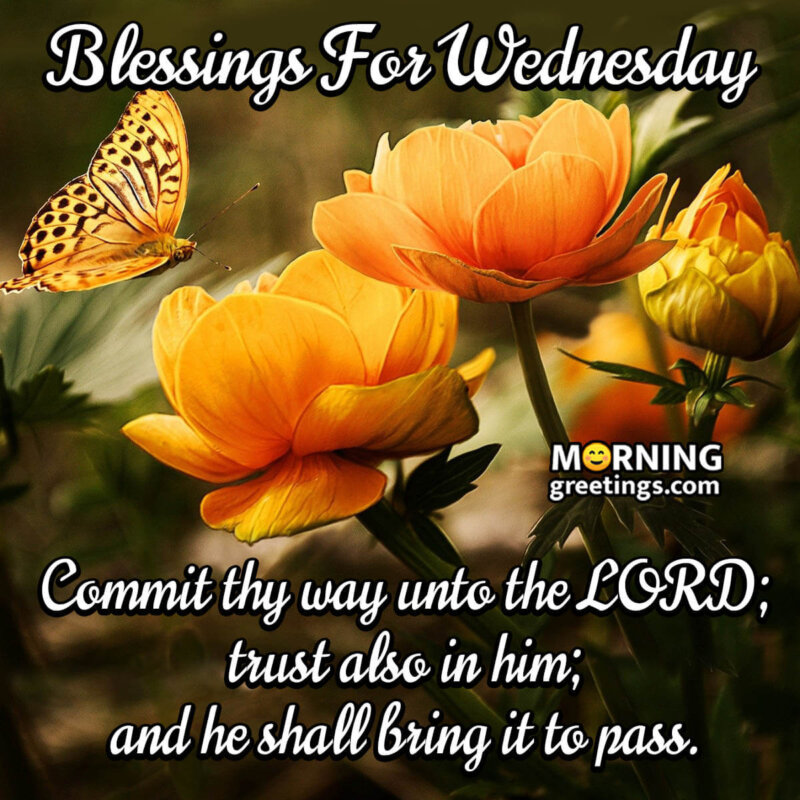 Wednesday Blessings Commit Thy Way Unto The Lord